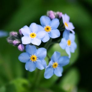 Meet your Posher, Raj